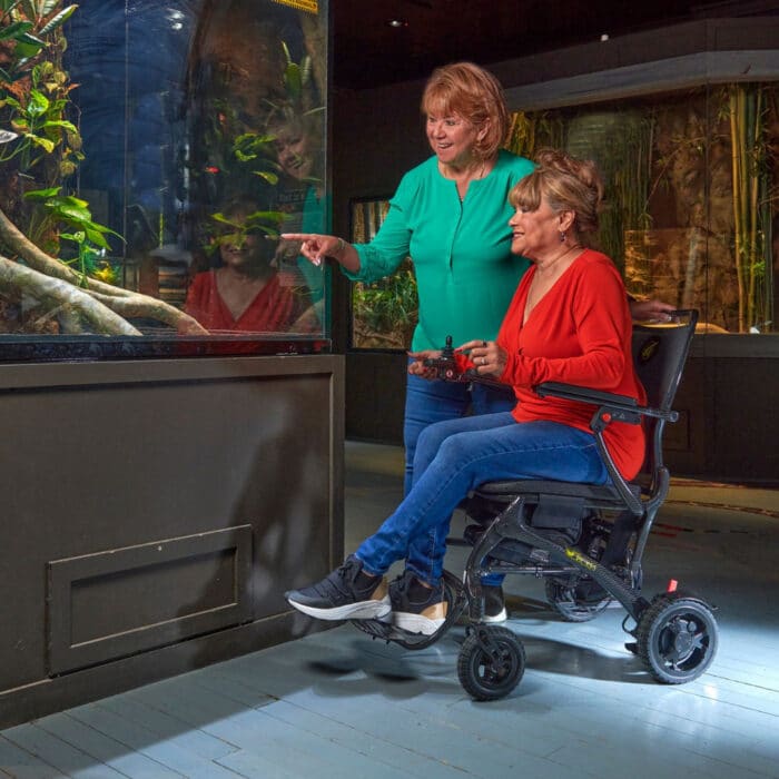 Lifestyle shot of a woman comfortably riding the Golden Cricket GP302 power wheelchair indoors, enjoying a lit aquarium exhibit alongside a friend.